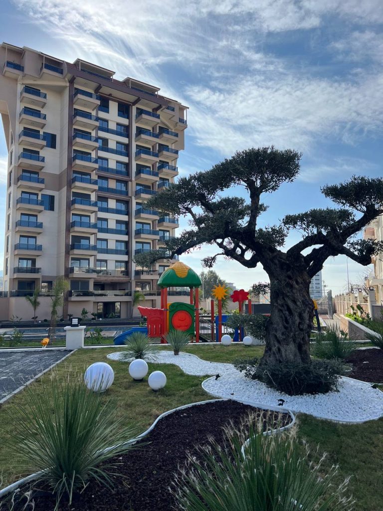 photo_5911247924703118610_y